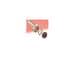 Hirose Connector RM21WTP-CP(10)(71)